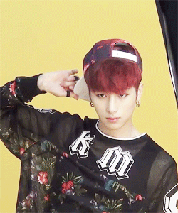 COUGAR NOONA