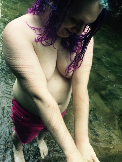 queerkinkycats: A wonderful creek adventure in WV, June 2017