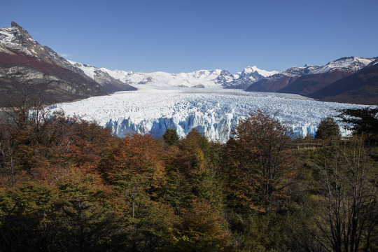 tulipnight:  Glacier Perito Moreno  by Fabio Rage on Flickr.