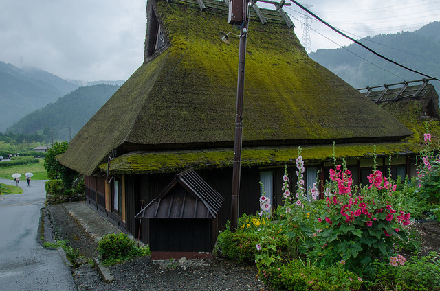 yuikki:  Miyama in the early summer, Kyoto / 初夏の美山（京都） by Kaoru