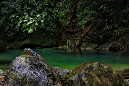 lmkina: • Mermaid Pool •