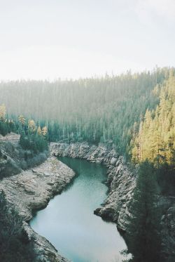 letsgoforahike:  Let’s Go For A Hike