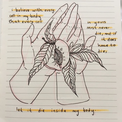 localpeachy:  “i believe with every cell in my body that every cell in yours must not, must ne