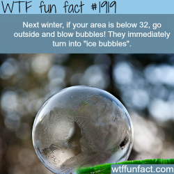 wtf-fun-factss:  Ice bubbles - WTF fun facts