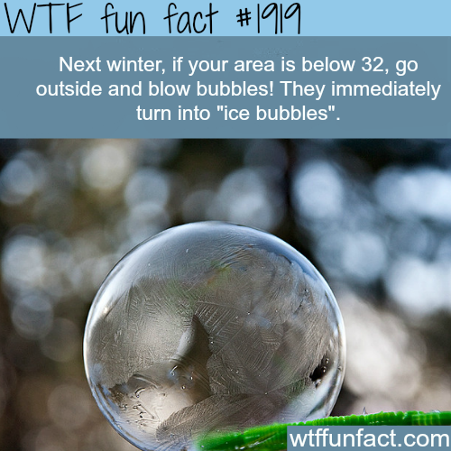 Sex wtf-fun-factss:  Ice bubbles - WTF fun facts pictures