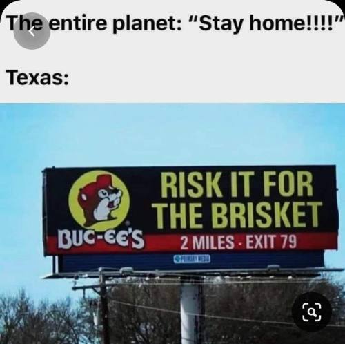 draegaa:#buc-ees trying to get humans extinct so the beavers may rise as the dominant species