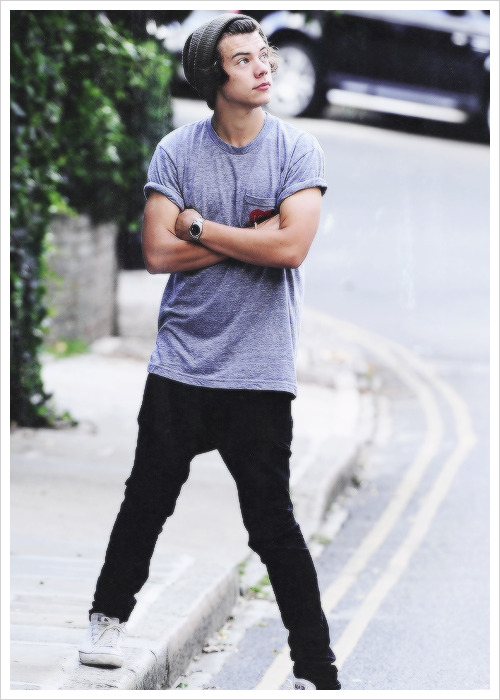 hipsta harry