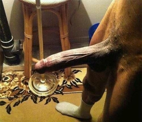 mcaval12:  Reblog, follow, make  donation:  http://mcaval12.tumblr.com/ Submit