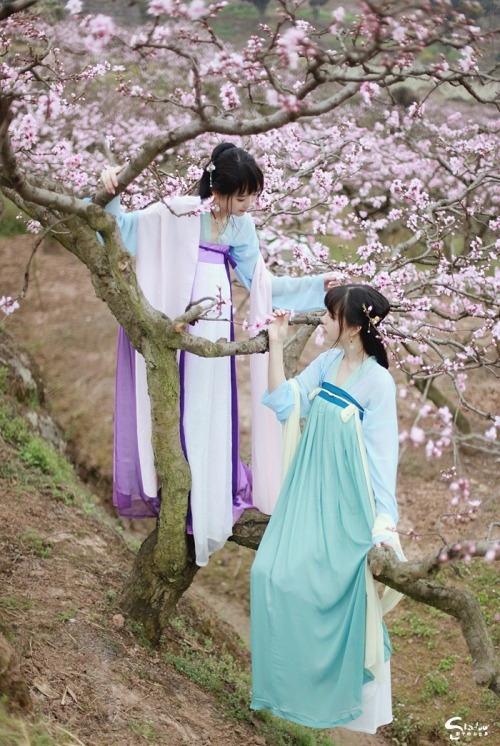 ziseviolet: Hanfu (han chinese clothing) photoset via 影子的白日梦. The models are wearing Tang Dynasty-st