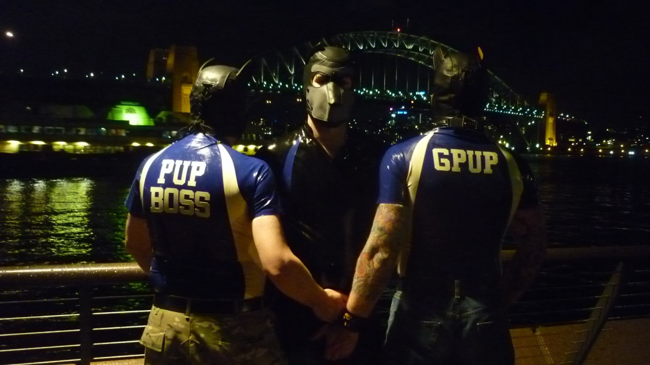Love this view of Sydney&hellip; :) Come join us at Pup Pride Down Under 2016http://puppridedownunder.com 