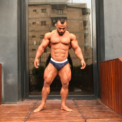 drwannabebigger:Galal Zakaria