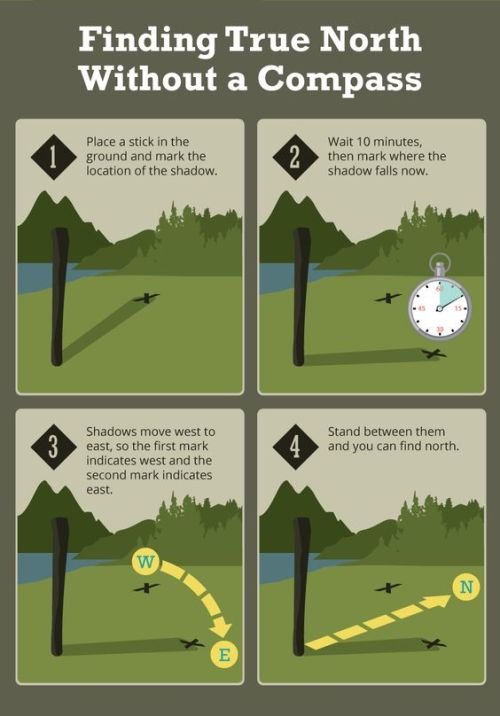 Survival Life Is The Best Source For Survival Tips.