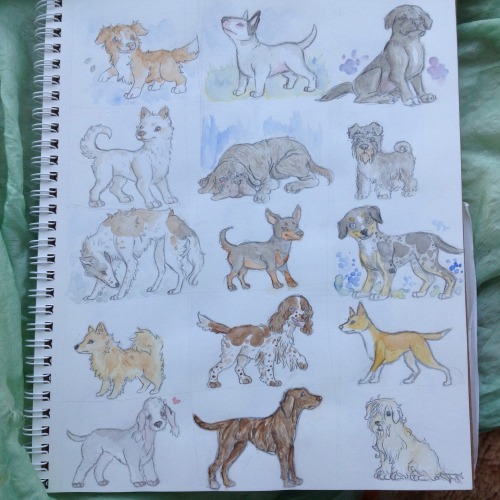 harmonymarigold: Some drawings of dogs I did for “dogust” last year