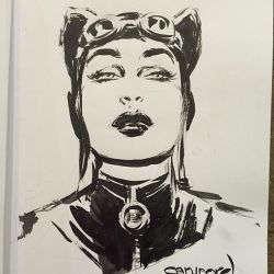 comic-book-ladies: Catwoman by Cary Nord