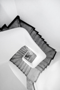 opcion:  e de espiral 286/365 (by Beatriz Pitarch) 