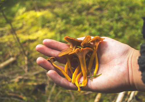 seidur:  Today I have tried to mend my mind with the power of soil, sound of ravens singing, the touch of moss. And I’m certain your warm spirit slumbers among the roots and leaves. When spring comes again, you will be back with it; among the first