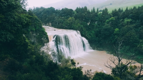 Found It | Waihi Falls New Zealandfullyfrothing.tumblr.com/