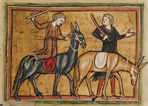 A couple of asses, c.13th century