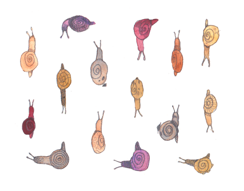 julvc: snail gang