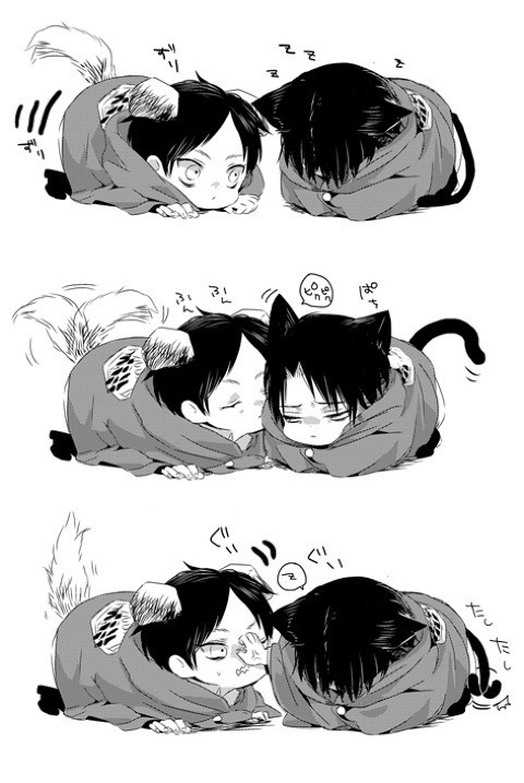 wahhh this is sooo cute levixeren