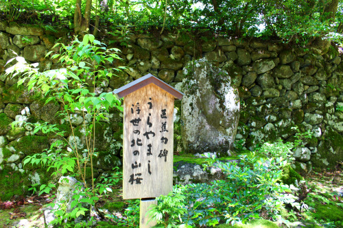 20160605（木）平泉寺