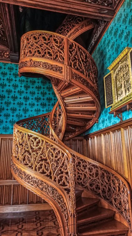 steampunktendencies: Spiral Staircase, Lednice castle, Czech RepublicA spiral staircase carved from 