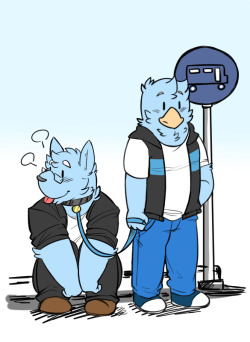 seintaur:  Walking your canine brother