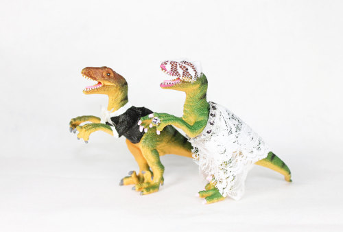 sosuperawesome:  Dinosaur Wedding Cake Toppers by PaintedParade 