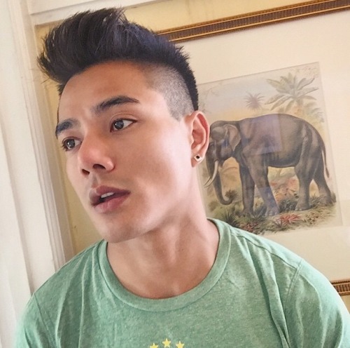 Josh Chang bro (?)
