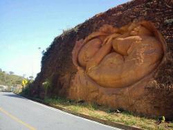 in-creible:  Madre tierra. Mother Earth.