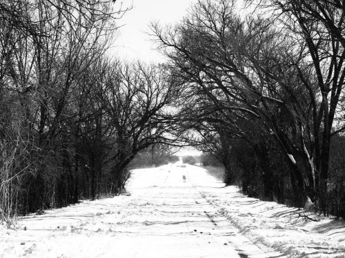 #blvck #landscape #bw #bnw #bnw_captures #bnw_society #ontheroad #oklahoma #omd #em1markⅲ #olympus #