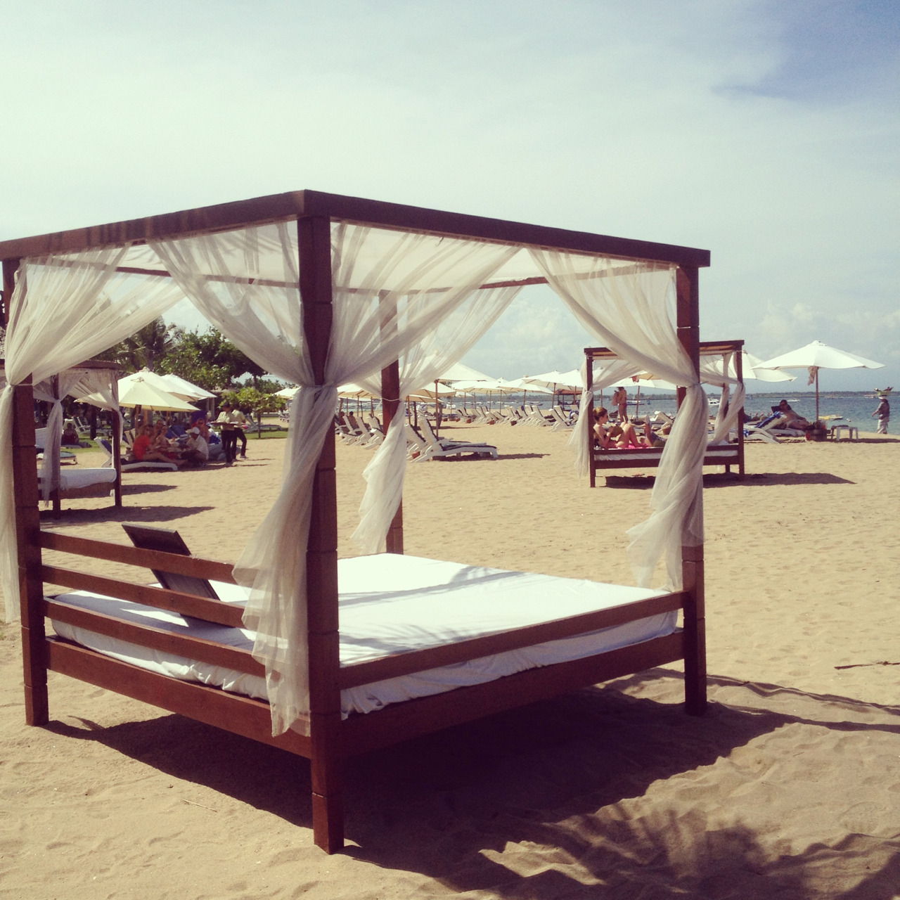 lushidior:  rosealista:  sighing-roses:  rosyblush:  rosettica:  lushuella:   tropical