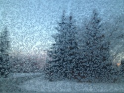 gay8:  loving this car window frost concept 