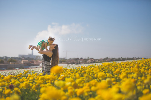 yourstruly-b:  kidsraisingkids:  Lindy is on Spring Break from work and we wanted to start the week off right with a visit to the flower fields. Ashtyn loved smelling all the flowers and playing in the dirt :) And of course I brought my camera…  Such