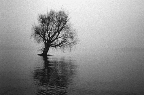 maudit:  "Why am I me and why not you?Why am I here and why not there?When did time begin and where does space end?"