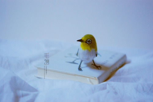 ▋Japanese White-eye ( custom-made ) Sculpture approximately 5 x 8 x 8 cm 