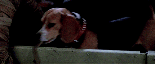 zombooyah2thesequel:  The Monster Squad (1987) dir. Fred Dekker   