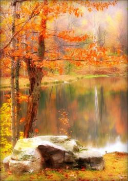 theopticnetwork:  Inspirational Autumn Pictures