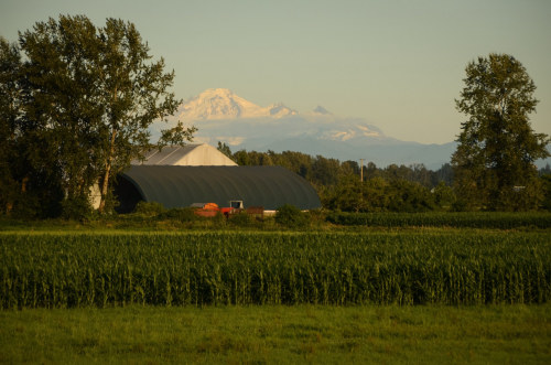 Pitt Meadows BC by Ian Threlkeld