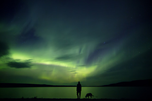 tiinatormanenphotography:  Last night lights.  Me and my old pal Joppe the dog.  10th Sep 2015.  Posio, Southern Lapland, Finland.  by Tiina Törmänen | web | FB | IG | 