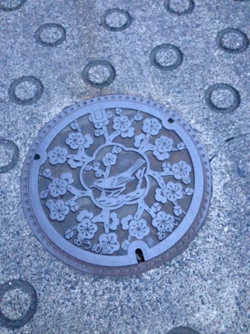 moot-an:青梅市マンホール April 2016