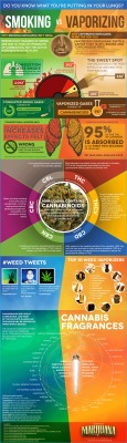 the-dab-junkie:  Smoking marijuana vs vaporizing