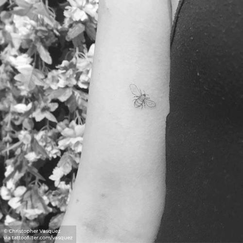 By Christopher Vasquez, done in Manhattan.... animal;bee;bicep;facebook;insect;micro;single needle;twitter;vasquez