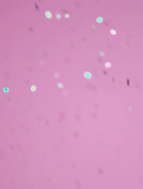 2OI4