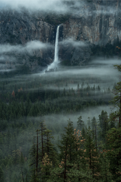 tulipnight:  Bridal Veil Fall by Steve Bond