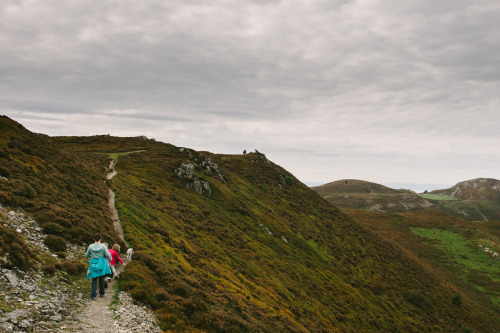 a little trip up a big hill