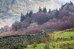 pagewoman:  Glenridding, Lake District, Cumbria, Englandby Andrew Locking