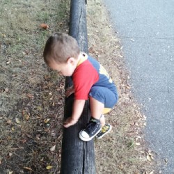 Climbing over the fence #berlinbenjamin