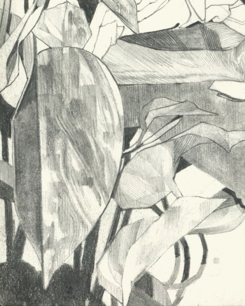 jameschleeart:06.81 storyteller (details)Pencil and charcoal on paper, 5" x 8.25", 2018