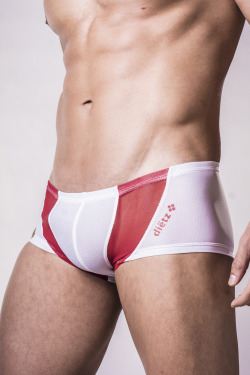 dietzunderwear:  mesh underwear by dietz